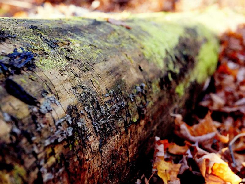 sudoku skill improvement